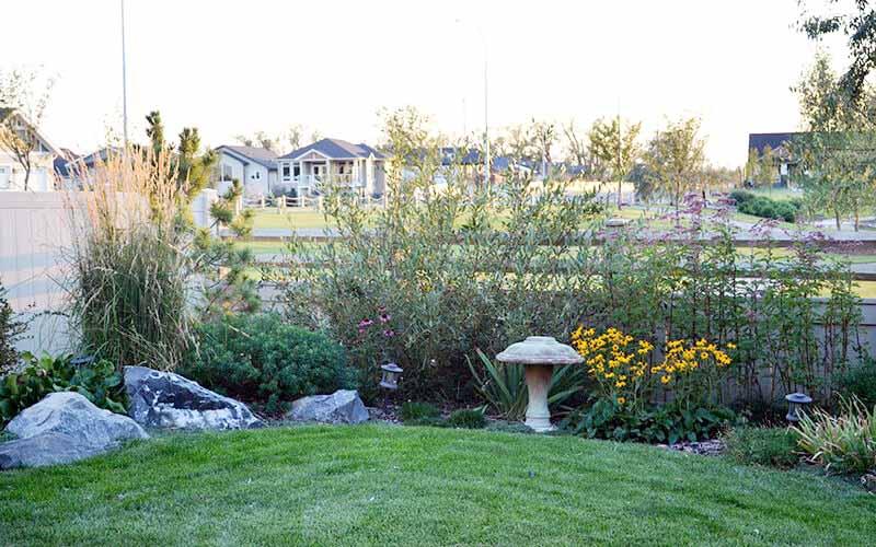 Lethbridge, Alberta, Landscaping, Landscapes, Landscape contractor, Landscape design Lethbridge. Landscape, backyard lawn, bushes and garden