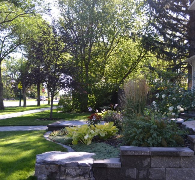 lawn-care