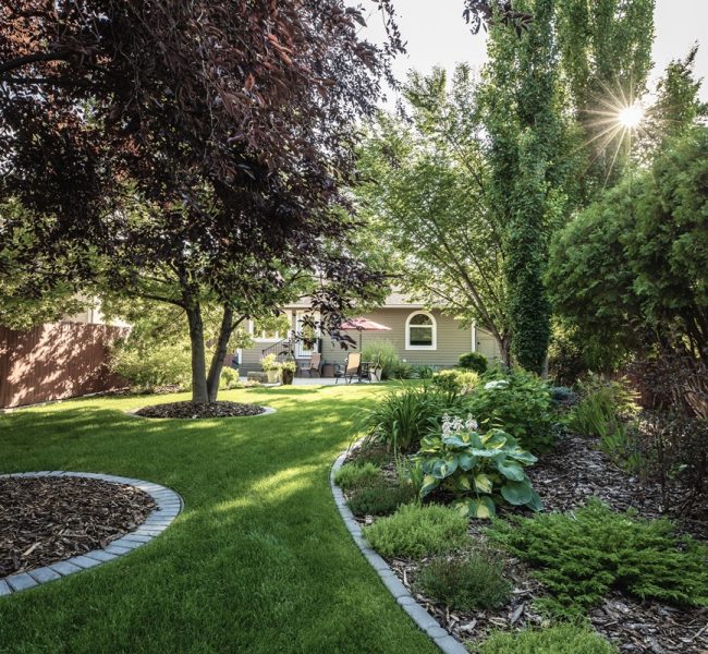 yard-maintenance